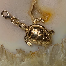 Charger l'image dans la galerie, Grigris Tortue