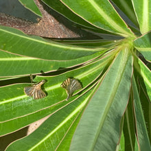 Charger l'image dans la galerie, Puces Ginkgo