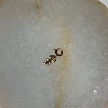 Charger l'image dans la galerie, Grigris coquillages & crustacés