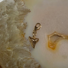 Charger l'image dans la galerie, Grigris coquillages & crustacés