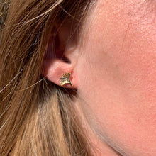 Charger l'image dans la galerie, Puces Ginkgo