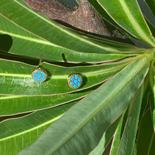 Charger l'image dans la galerie, Puces Turquoise