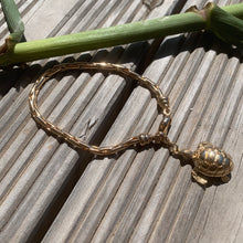 Charger l'image dans la galerie, Grigris Tortue