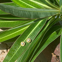 Charger l'image dans la galerie, Puces Solitaires