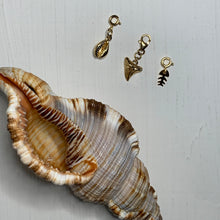 Charger l'image dans la galerie, Grigris coquillages & crustacés